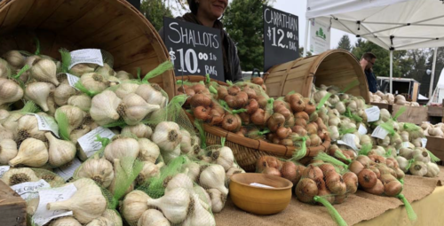Connecticut Garlic & Harvest Festival